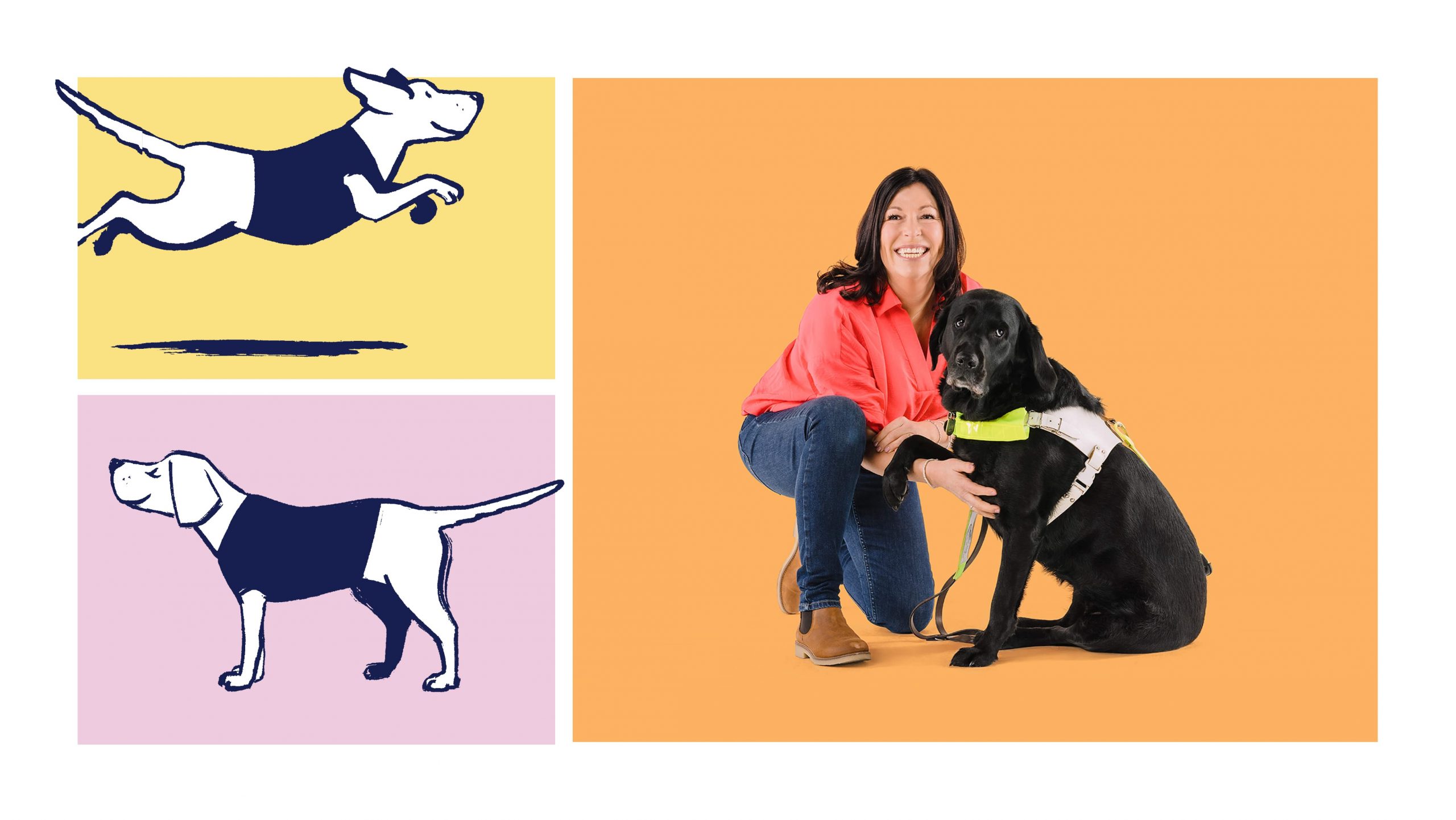 Guide_Dogs_23_5