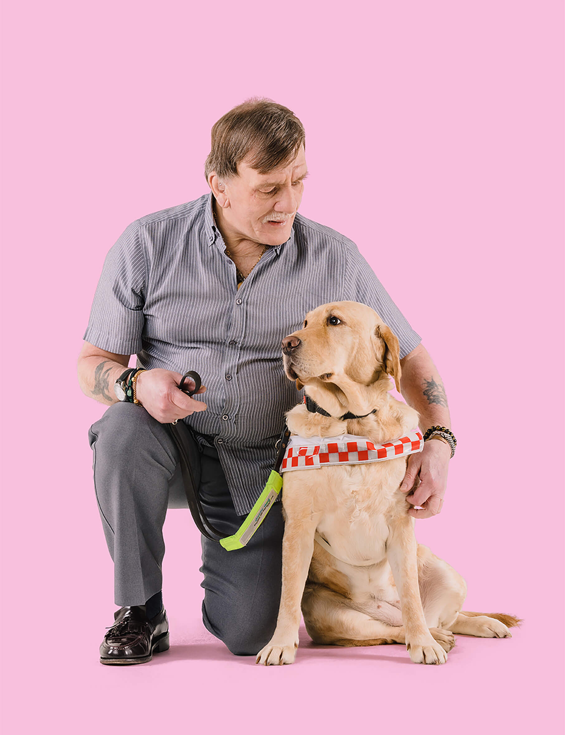 Guide_Dogs_23_7