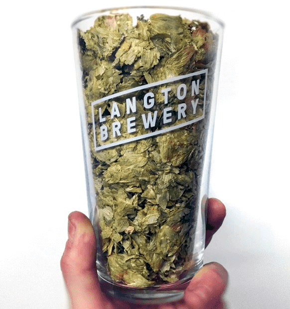 Langtons_All_5