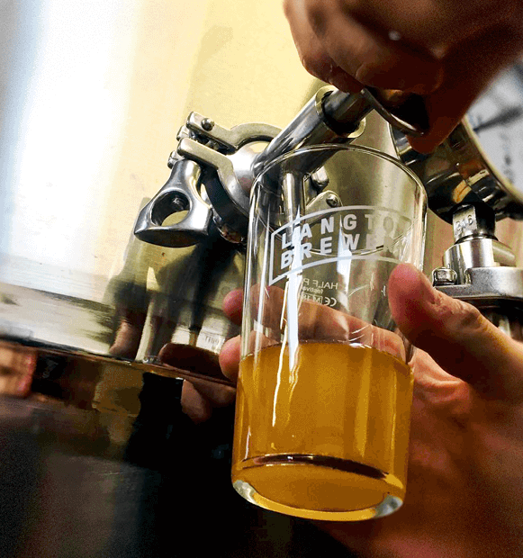 Langtons_All_6